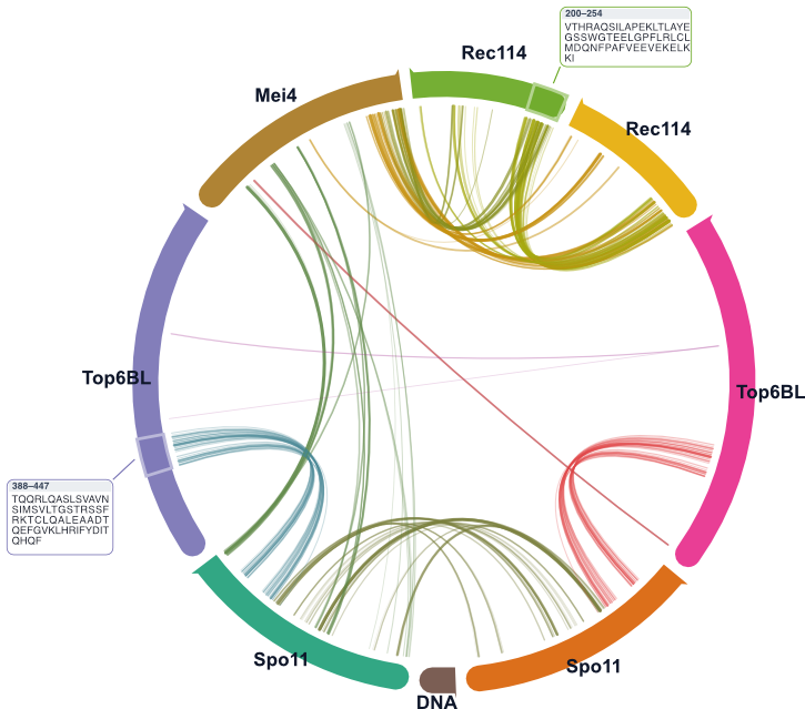 Example circos plot generated by ChimeraX CircosContacts